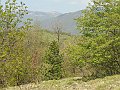 DSCN0484