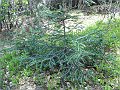 DSCN0499