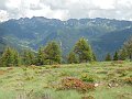 DSCN0972