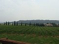 DSC06979